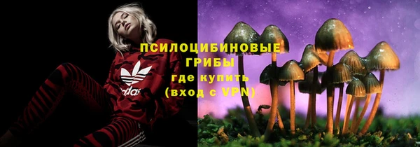 mdpv Новозыбков