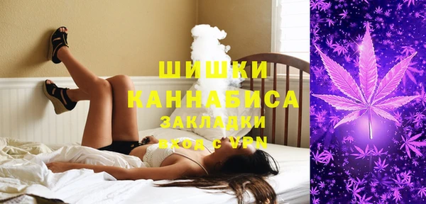 прущие крисы Новодвинск