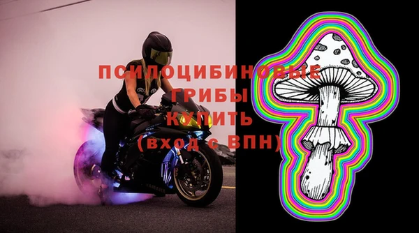 mdpv Новозыбков