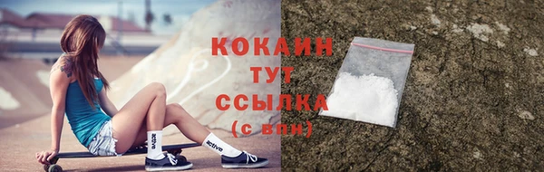 прущие крисы Новодвинск