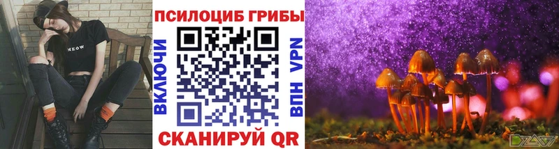 Галлюциногенные грибы мицелий  Купить где  Чусовой 